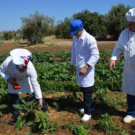 Kikki Village מלון